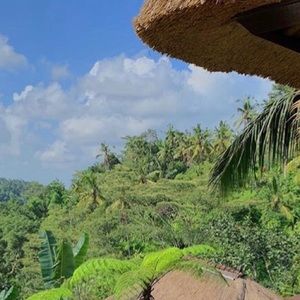 Meet your Posher, Diantha